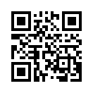 QR CODE 509