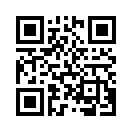 QR CODE 515