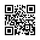 QR CODE 519