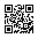 QR CODE 529