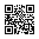 QR CODE 533