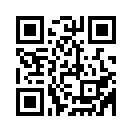 QR CODE 538