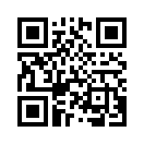 QR CODE 591