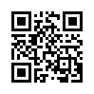 QR CODE 677