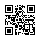 QR CODE 731