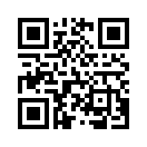 QR CODE 734
