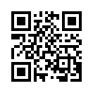 QR CODE 737