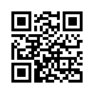 QR CODE 133