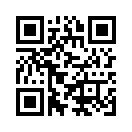 QR CODE 42