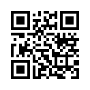 QR CODE 53
