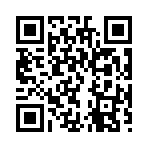 QR CODE 519