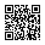 QR CODE 538