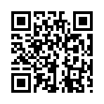 QR CODE 737