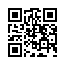QR CODE 317