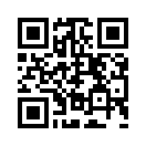 QR CODE 394