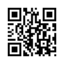 QR CODE 528