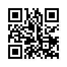 QR CODE 737