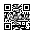 QR CODE 813