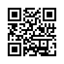 QR CODE 913