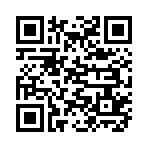 QR CODE 110