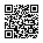 QR CODE 1238