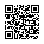 QR CODE 1333