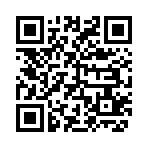 QR CODE 1381