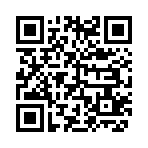 QR CODE 1382