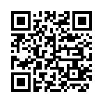 QR CODE 2003