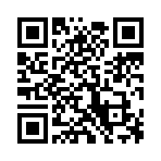 QR CODE 2210