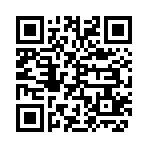 QR CODE 2369