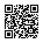 QR CODE 2381