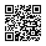 QR CODE 2393