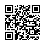 QR CODE 2538