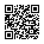QR CODE 2541