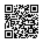 QR CODE 2560