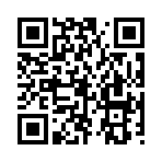 QR CODE 27