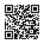 QR CODE 2741