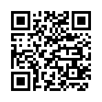 QR CODE 2838