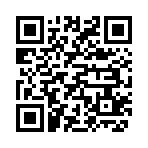 QR CODE 2911