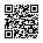 QR CODE 2934