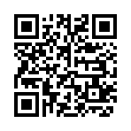 QR CODE 3009