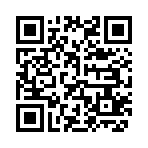 QR CODE 3010