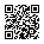 QR CODE 3077