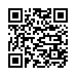 QR CODE 31
