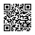 QR CODE 3133