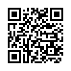 QR CODE 3194