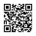QR CODE 501