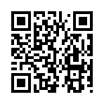 QR CODE 529