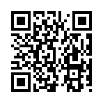 QR CODE 538